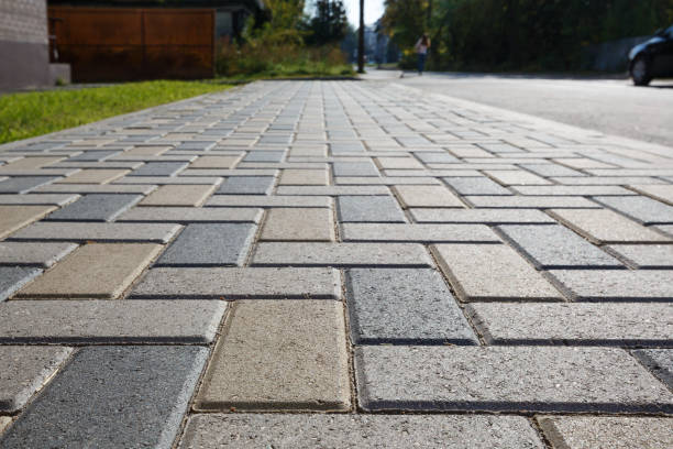 Best Driveway Paving Contractor  in Vienna, GA