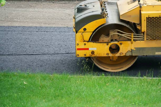 Best Residential Paver Driveway  in Vienna, GA